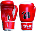Muay Thai Glove